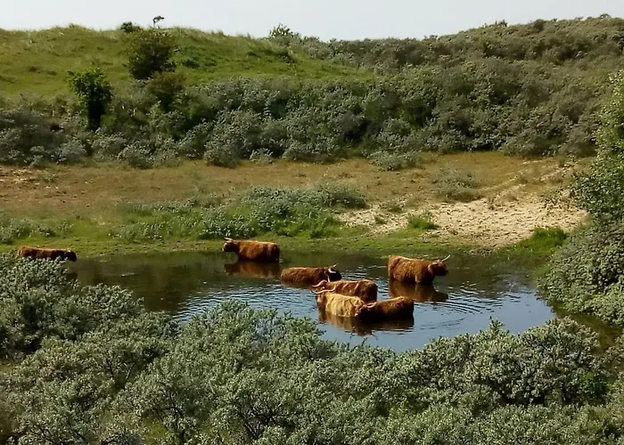 Close To The Vakantiehuis