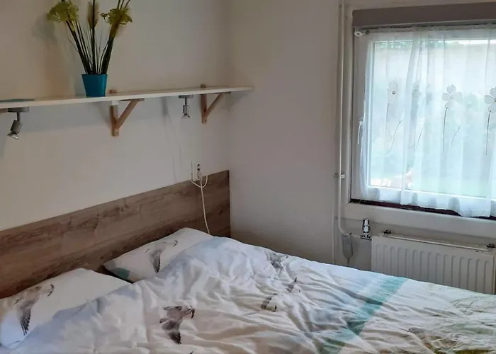 Close To The Vakantiehuis Wijk Aan Zee