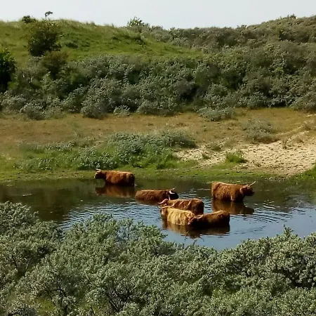 Close To The בית נופש